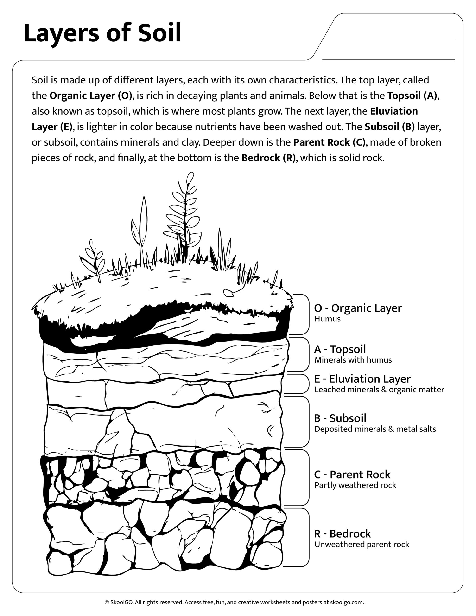 Layers Of Soil SKOOLGO Layers Of Soil SKOOLGO