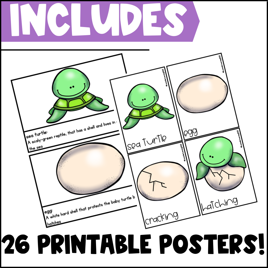 Turtle Diary Free Printable Worksheets Turtle Diary Free Printable Worksheets