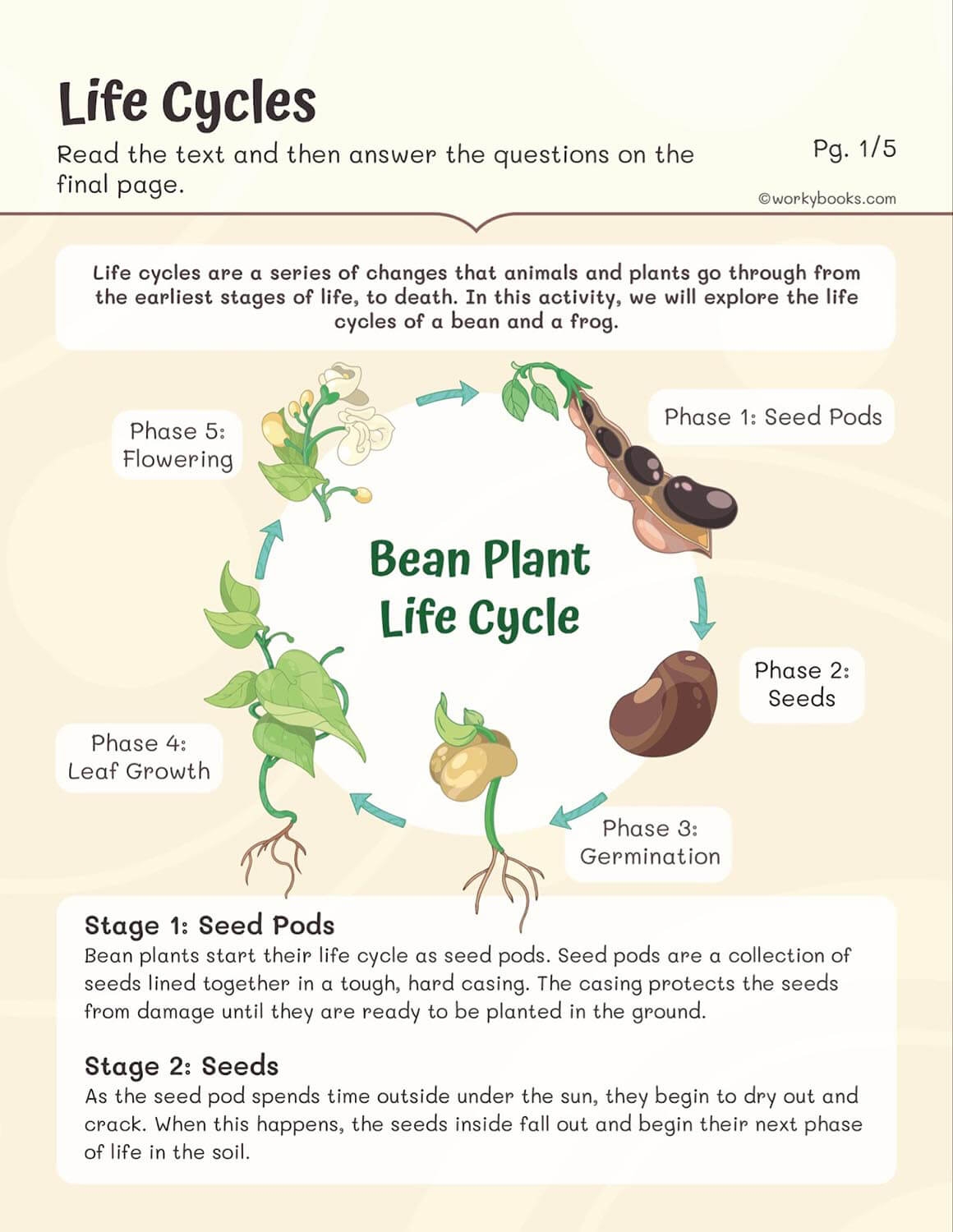 Free Printable Plant Growth Worksheets
