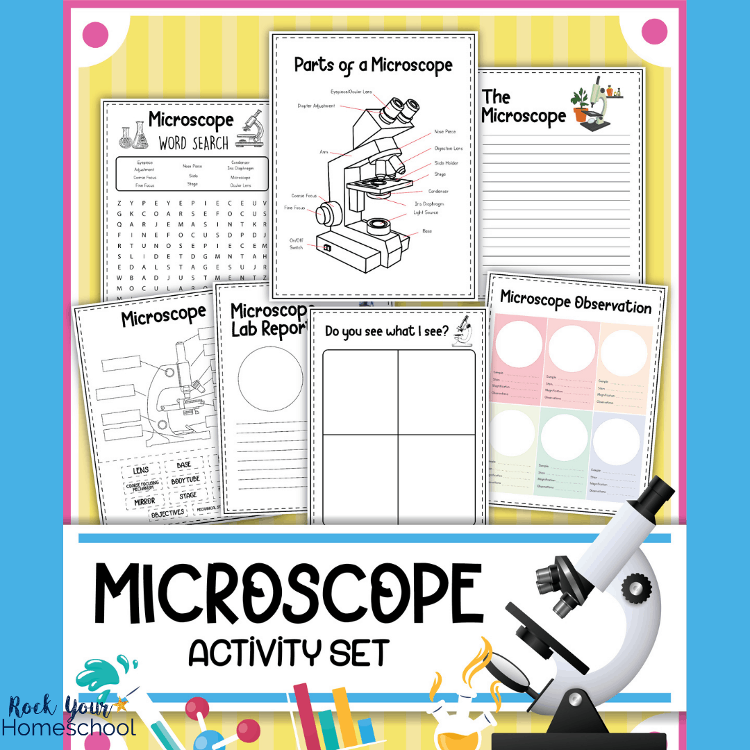 Microscope Worksheets For Simple Science Fun Rock Your Homeschool