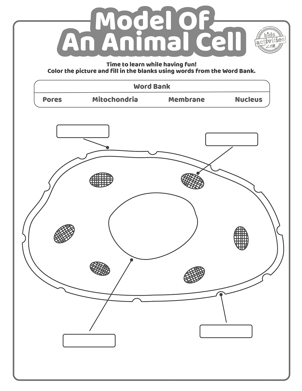 Model Of An Animal Cell Coloring Pages Kids Activities Blog