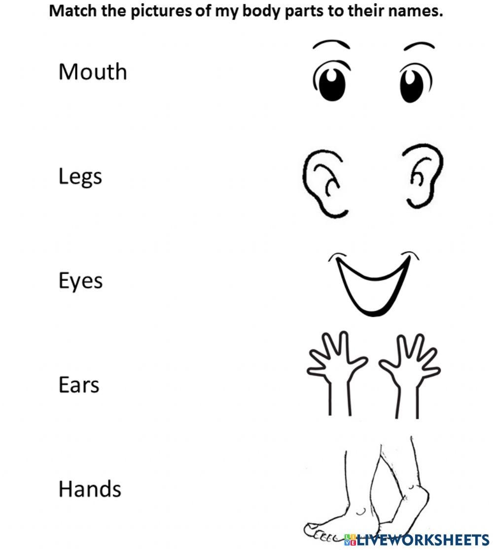 My Body Online Exercise For Preschool Live Worksheets 