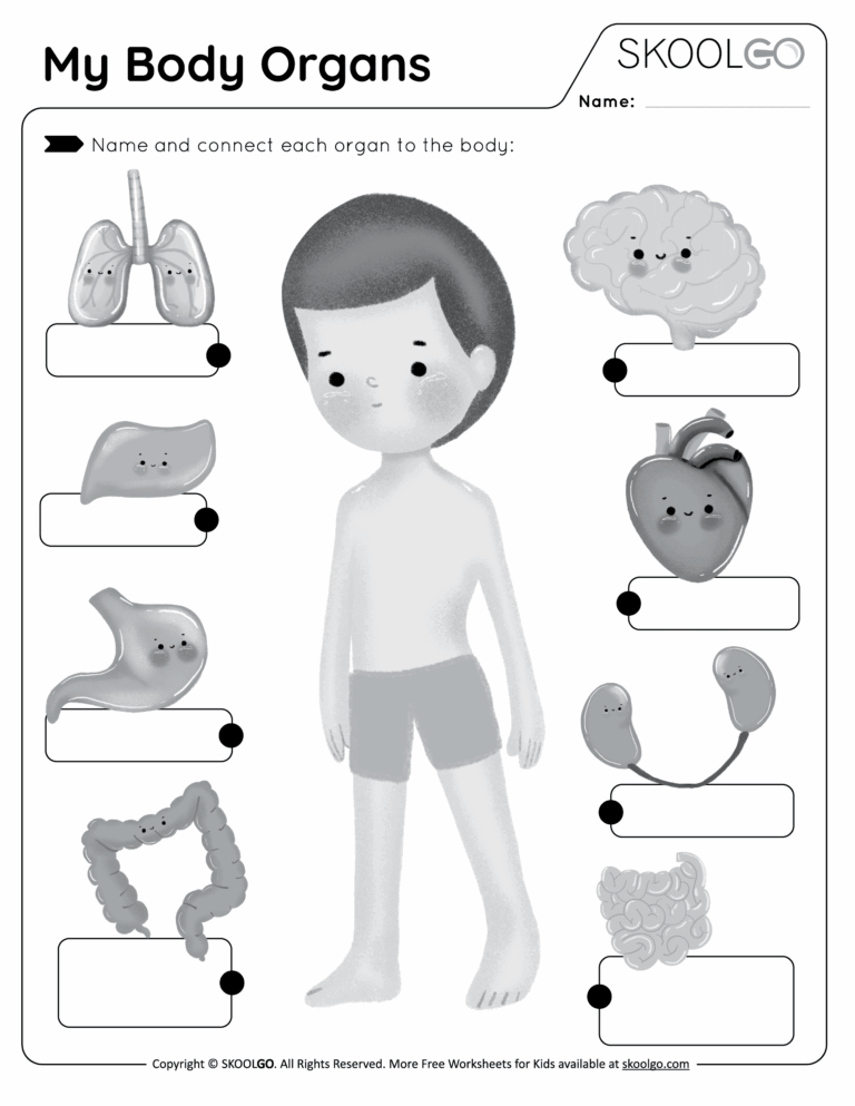 My Body Organs Free Worksheets SKOOLGO