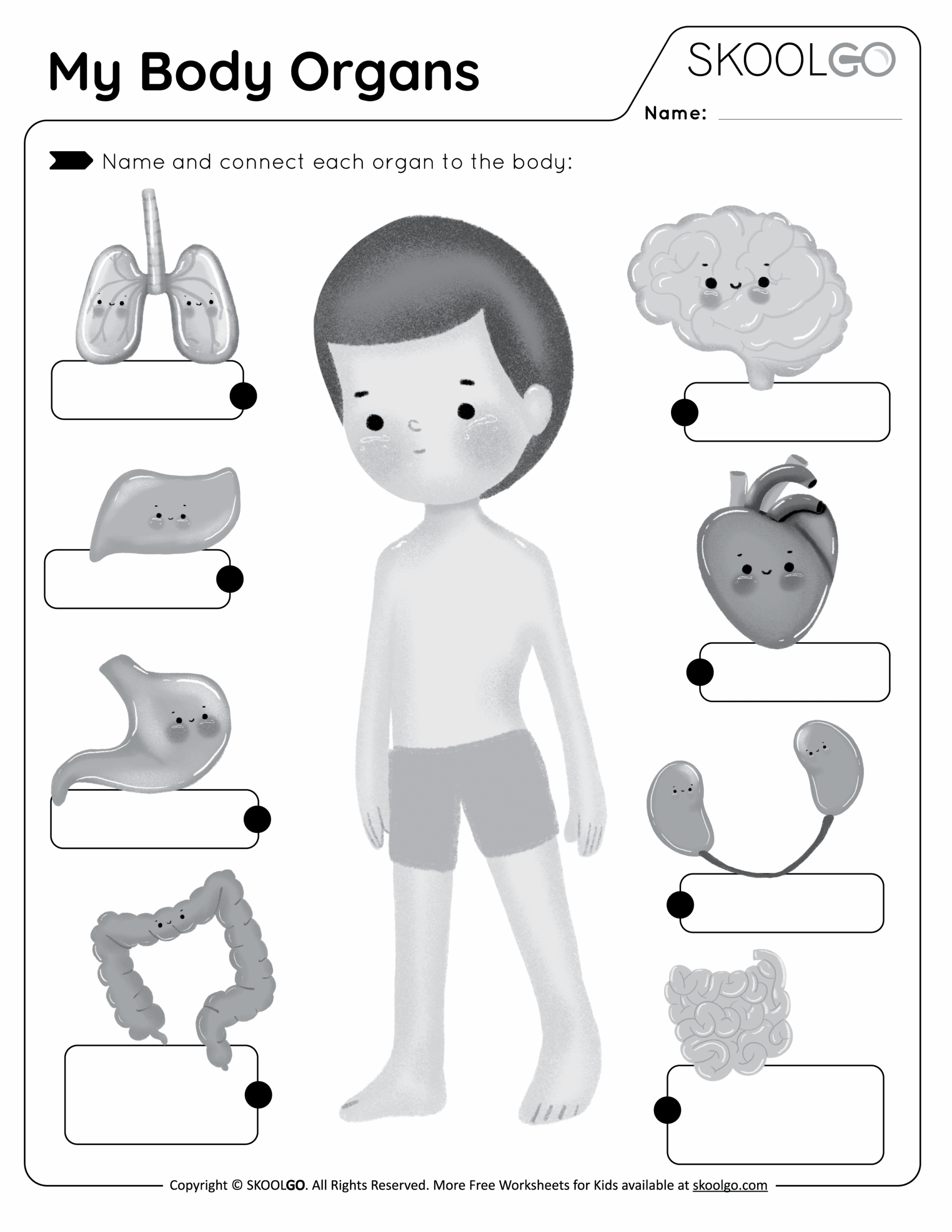 My Body Organs Free Worksheets SKOOLGO