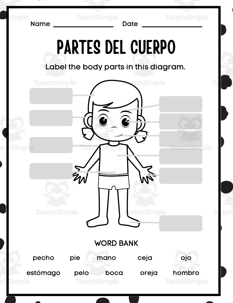 Partes Del Cuerpo parts Of The Body Spanish By Teach Simple