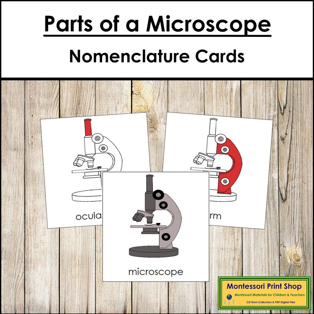 Parts Of A Microscope Nomenclature 3 part Cards Science 