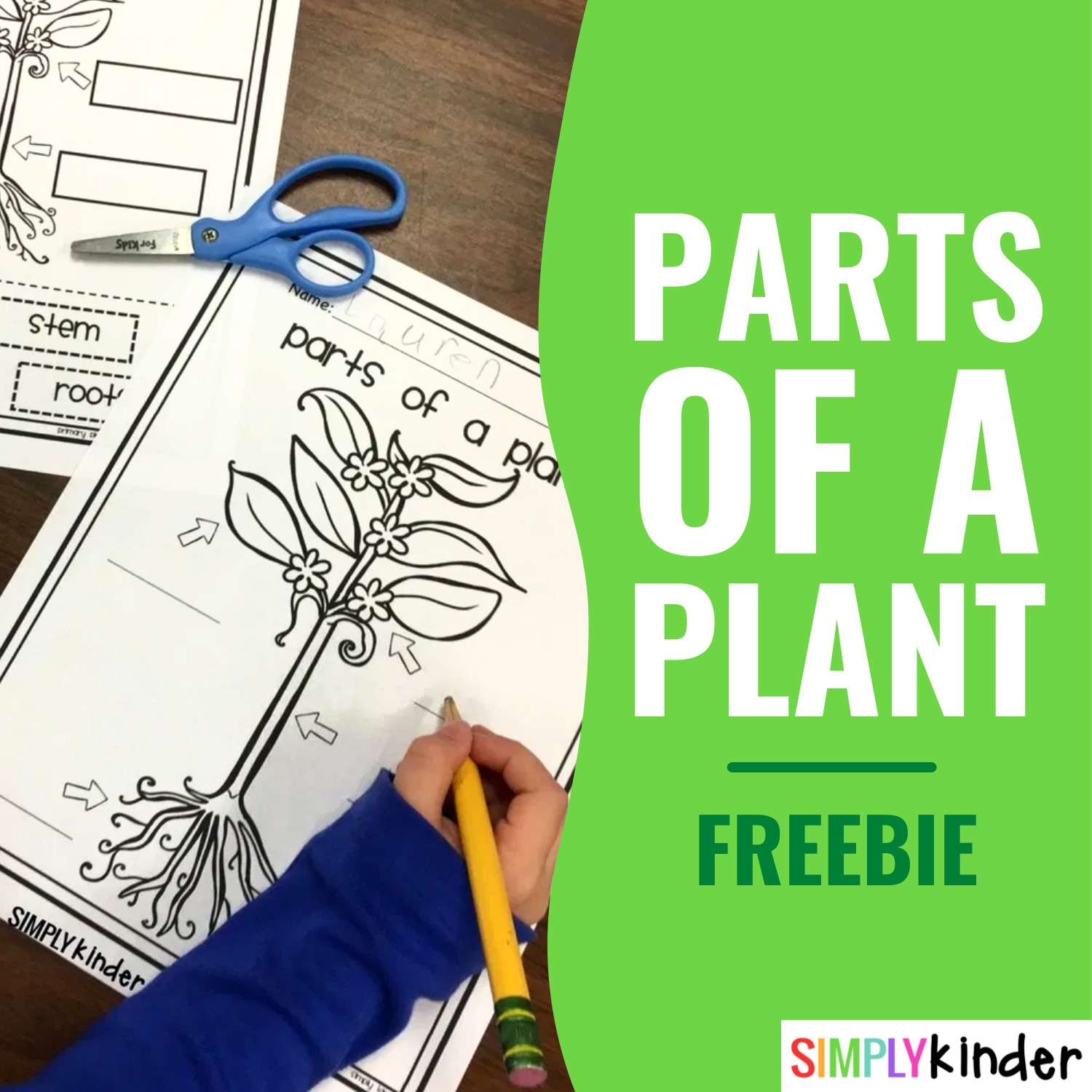 Free Printable Plant Worksheets For Kindergarten Free Printable Plant Worksheets For Kindergarten