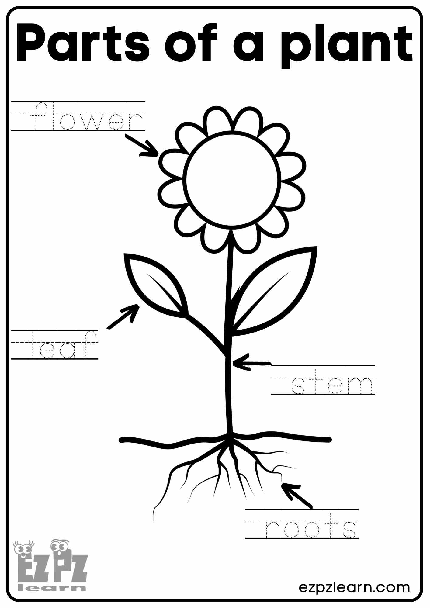 Parts Of A Plant Vocabulary Worksheet Write The Words And Color The Flower Activity For Kindergarten K5 And ESL Students Free Printable PDF Download Ezpzlearn