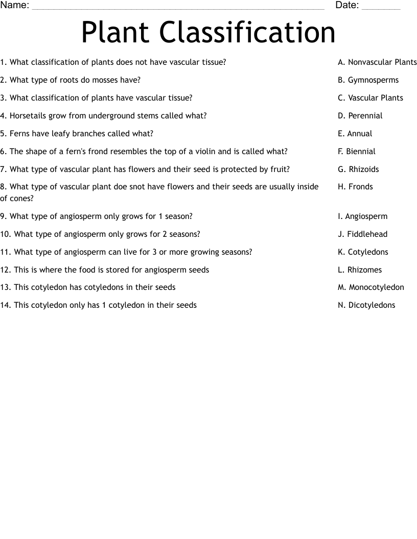 Plant Classification Worksheet WordMint