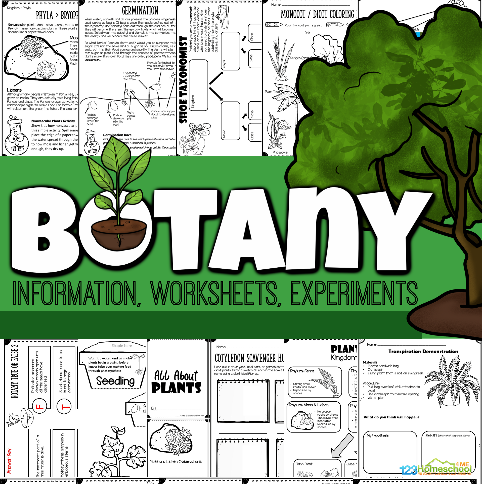 Free Printable Science Worksheets Plants