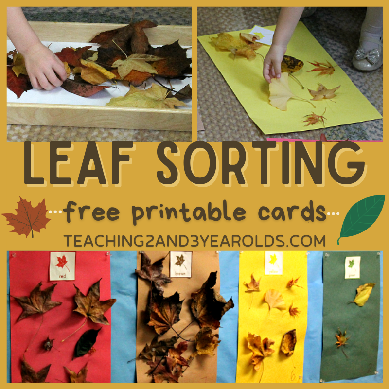 Preschool Leaf Sorting Activity With Free Printable Cards