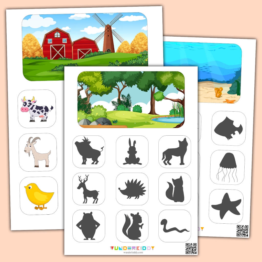 Printable Animal Classification And Sorting Activity For Kids