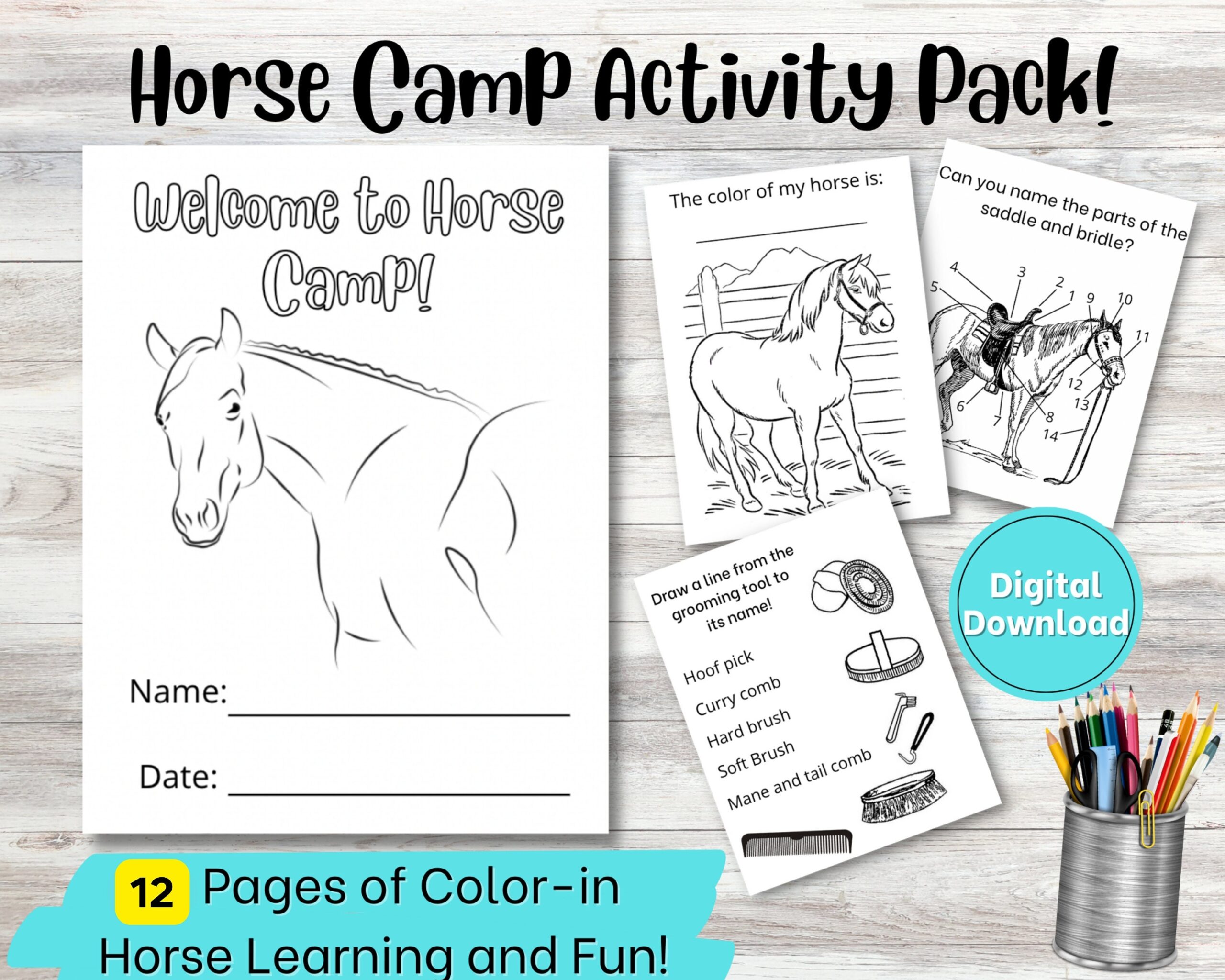 Printable Horse Camp Activity Book For Kids Equestrian Coloring Page English U0026 Western Saddle Diagrams Digital Horse Learning Workbook Etsy