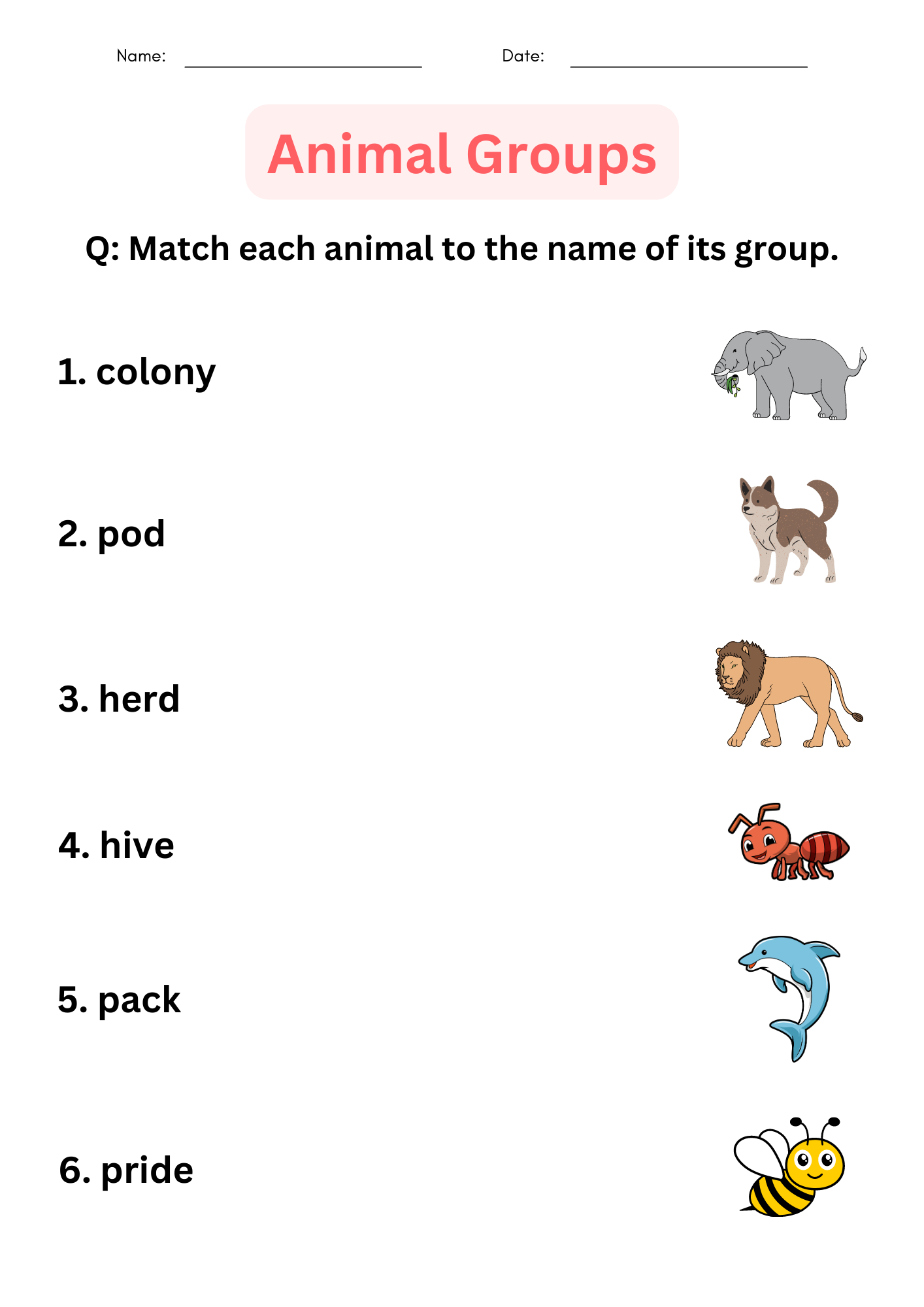 Printable Matching Animal Groups Worksheet For Grade 1 2 3 Teaching Resources