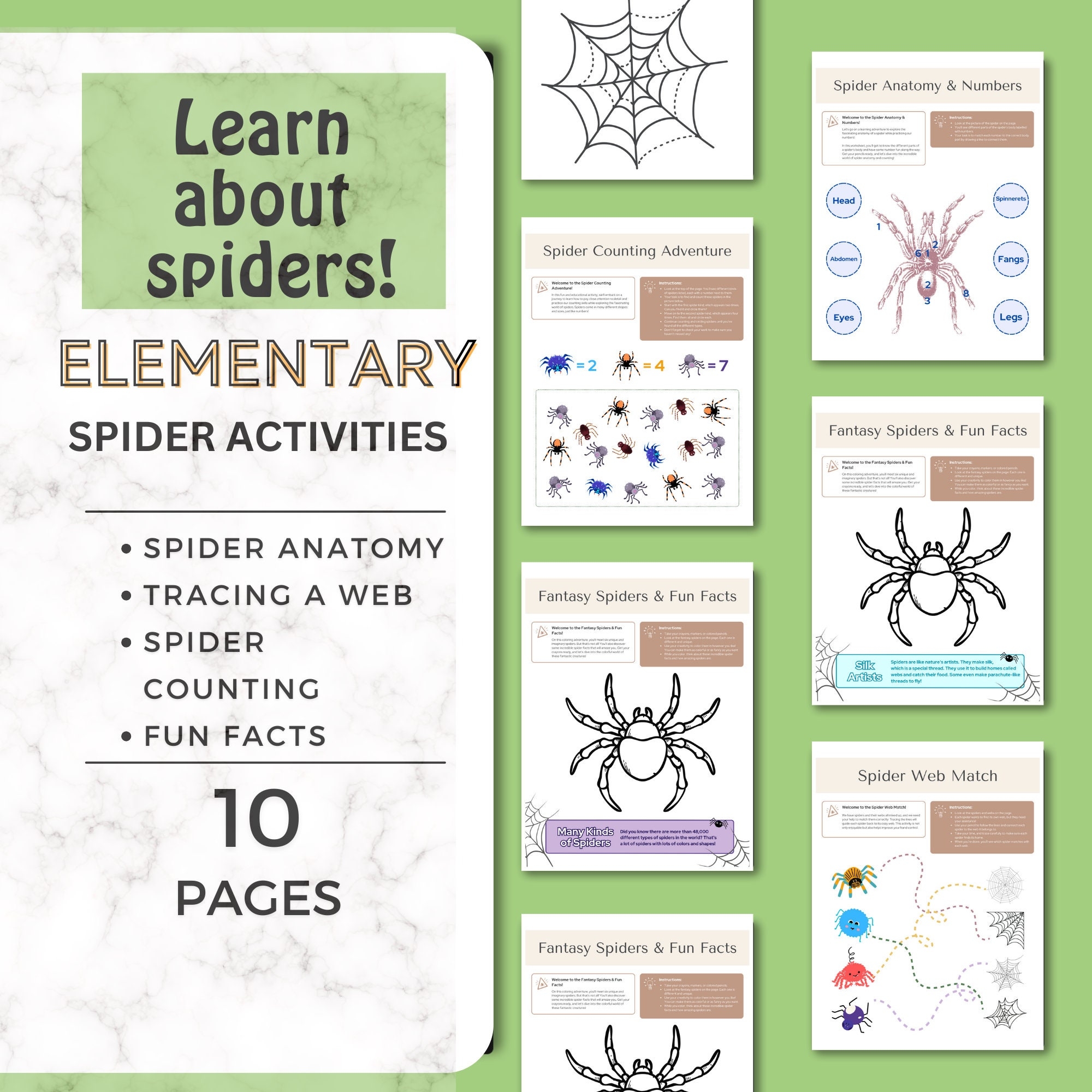 Printable Spider Activities Printable Preschool Activity Pages Kindergarten Worksheets Preschool Worksheets Spider Worksheets Printable Spider Activities Printable Preschool Activity Pages Kindergarten Worksheets Preschool Worksheets Spider Worksheets
