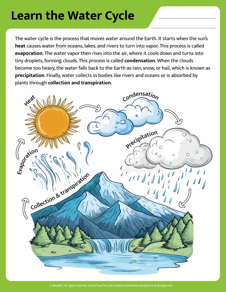 Printable Water Cycle Worksheet For Kids SKOOLGO
