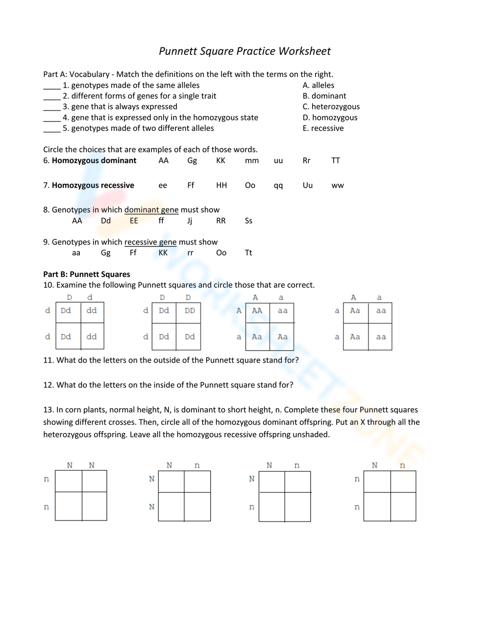 Punnett Square Practice Worksheet Free Printable