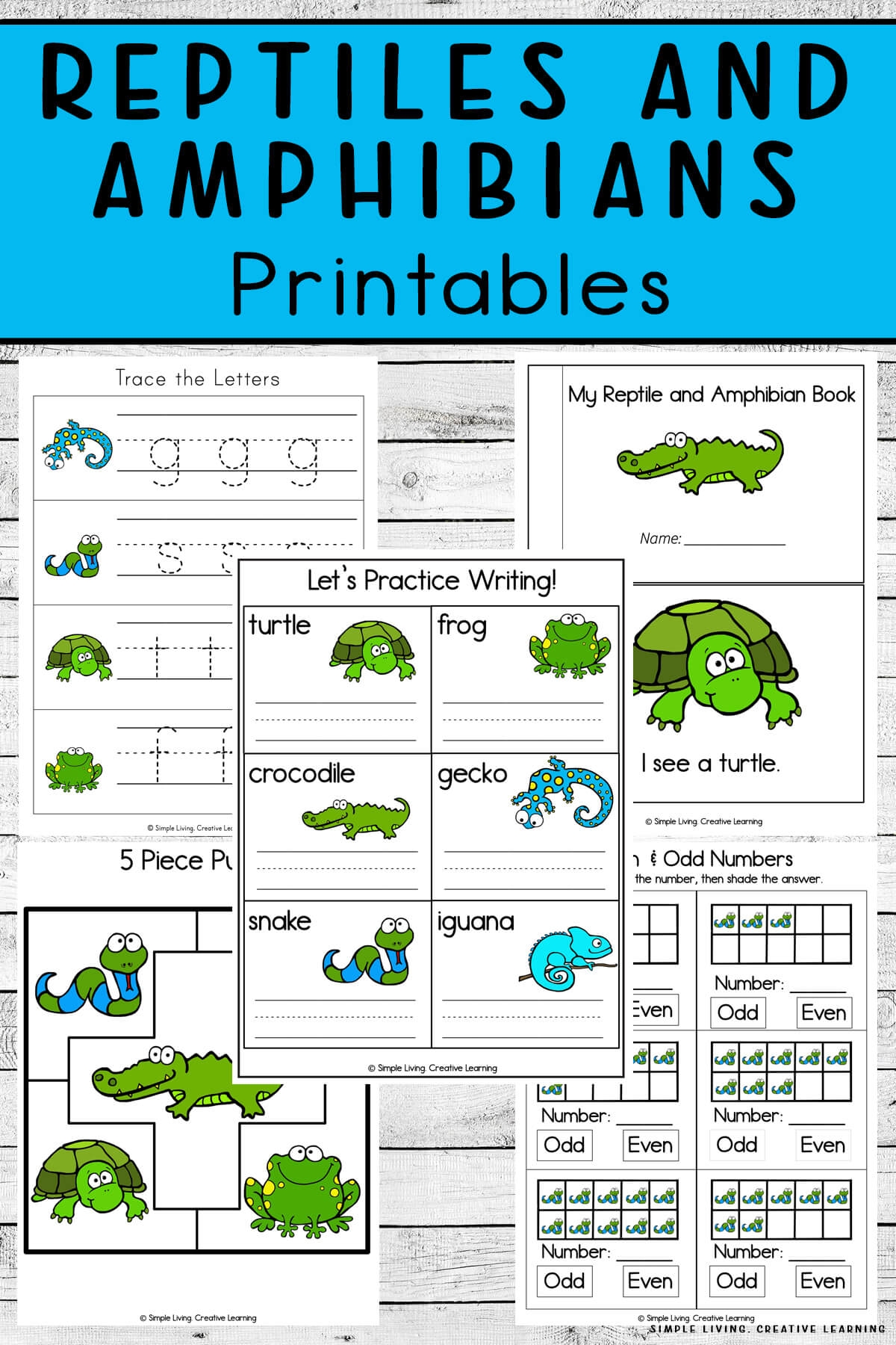 Free Printable Amphibian Worksheets Free Printable Amphibian Worksheets