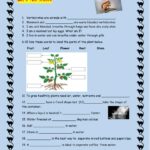Science Grade 4 Activity Live Worksheets Worksheets Library
