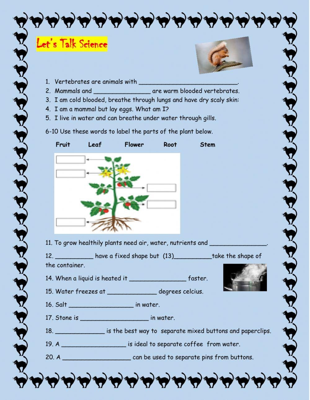 Free 4th Grade Science Printable Worksheets