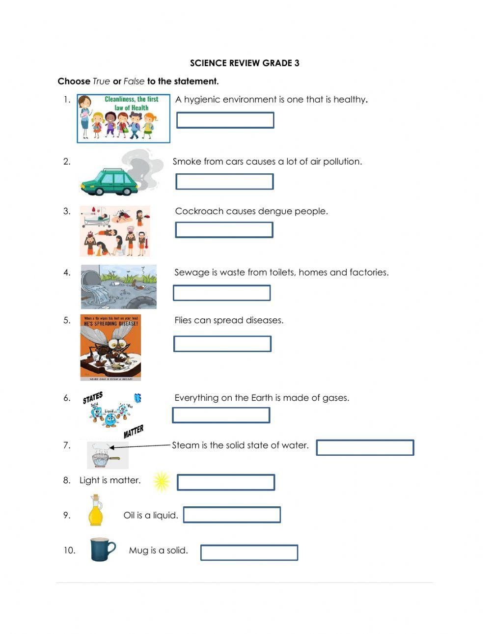 Free Printable Science 3rd Grade Worksheets
