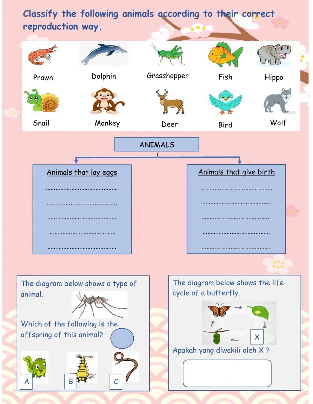 Science Year 2 Interactive Worksheet Live Worksheets Worksheets Library