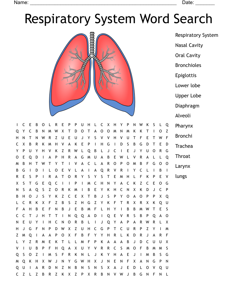 Respiratory System Free Printable Worksheets Respiratory System Free Printable Worksheets