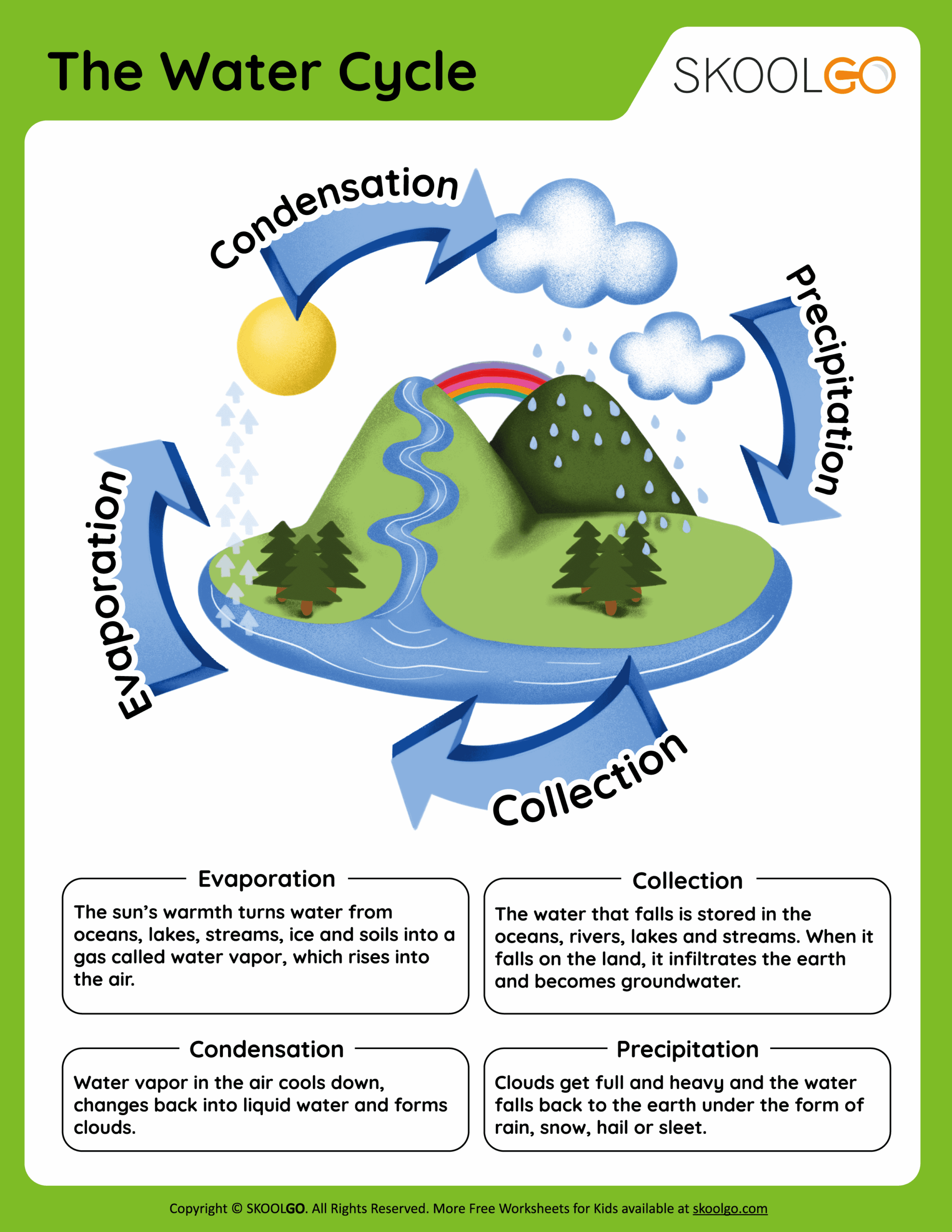 Water Cycle Worksheet Free Printable