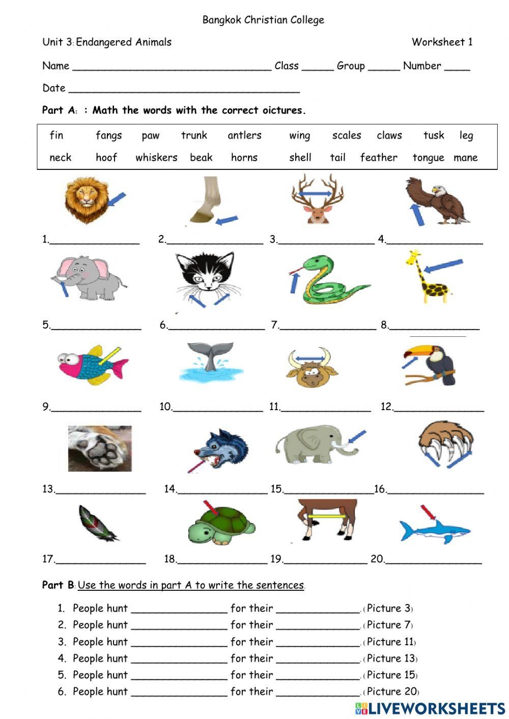 Unit 3 ws1 Endangered Animals Worksheet Live Worksheets Worksheets Library
