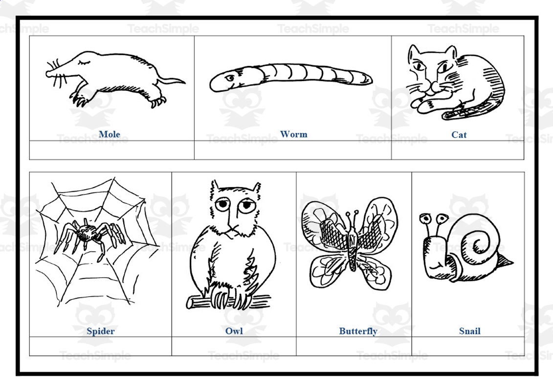 Invertebrates Worksheets Free Printable