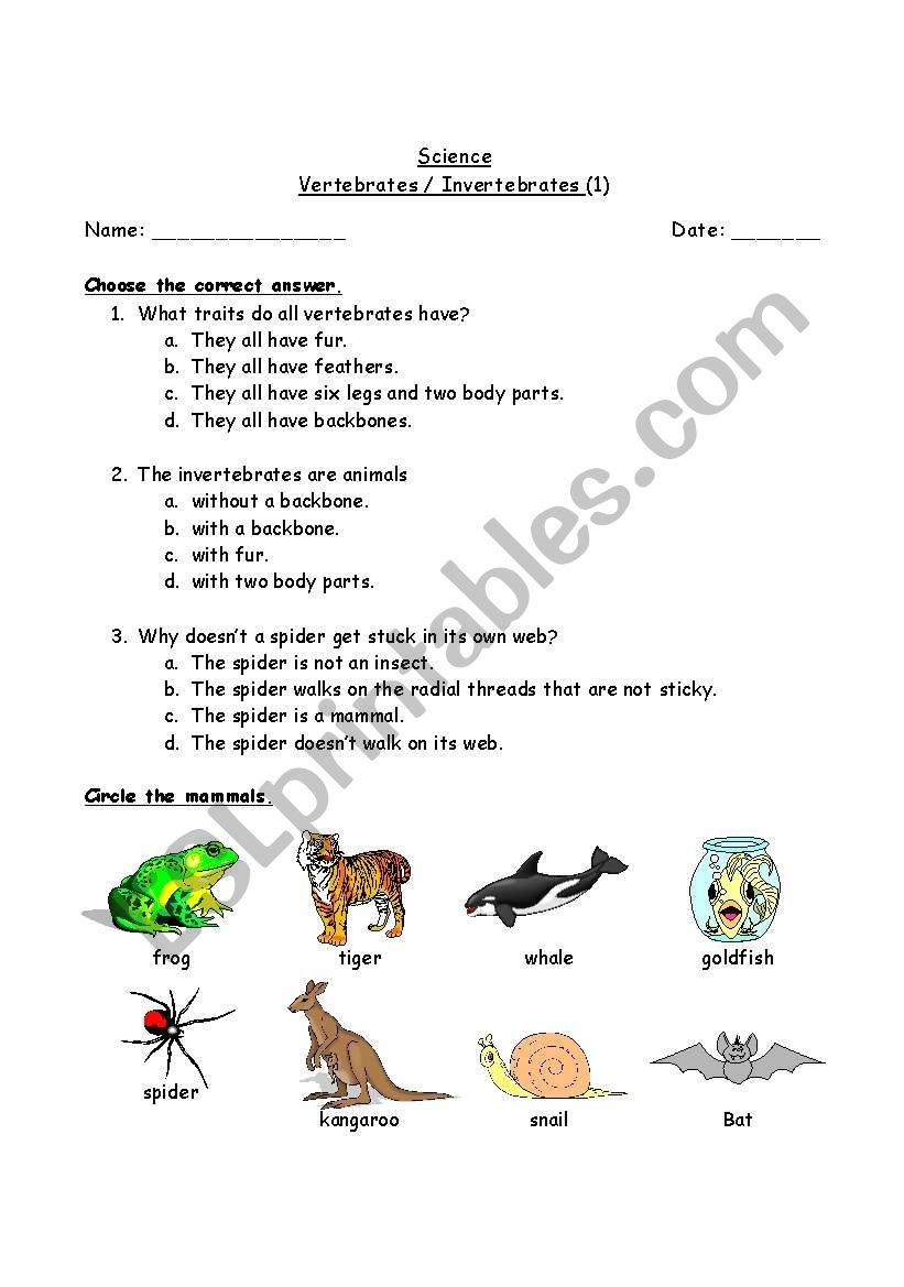 Vertebrates Invertebrates ESL Worksheet By Tawilrim hotmail