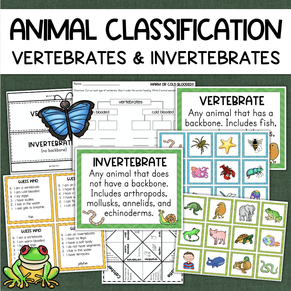 Vertebrates U0026 Invertebrates Animal Classification Made By Teachers