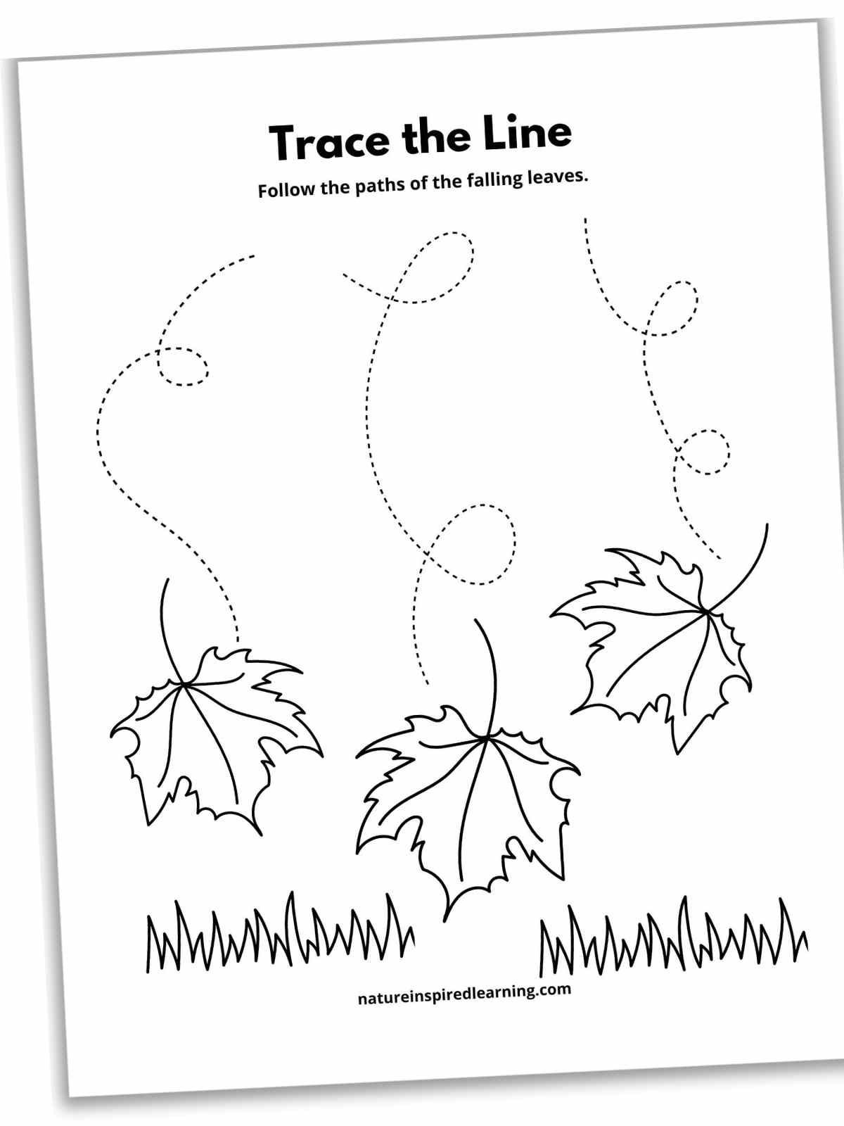 17 Line Tracing Worksheets Free Nature Inspired Learning 17 Line Tracing Worksheets Free Nature Inspired Learning
