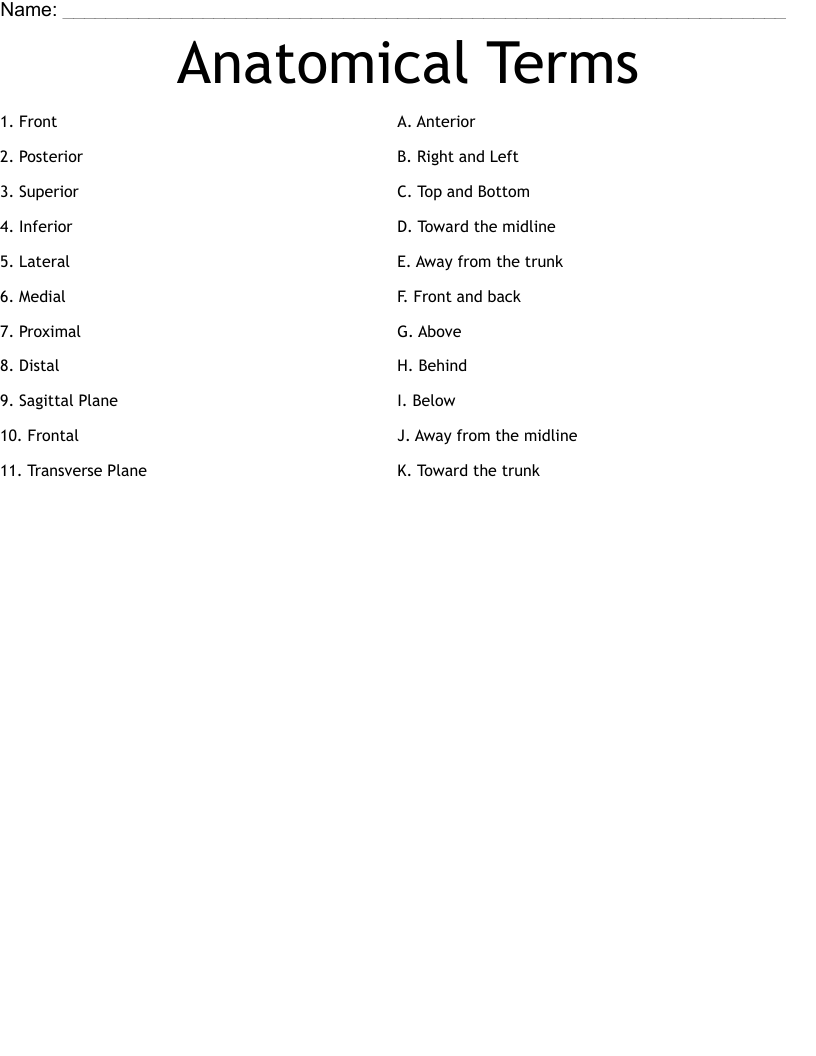 Anatomical Terms Worksheet WordMint Anatomical Terms Worksheet WordMint
