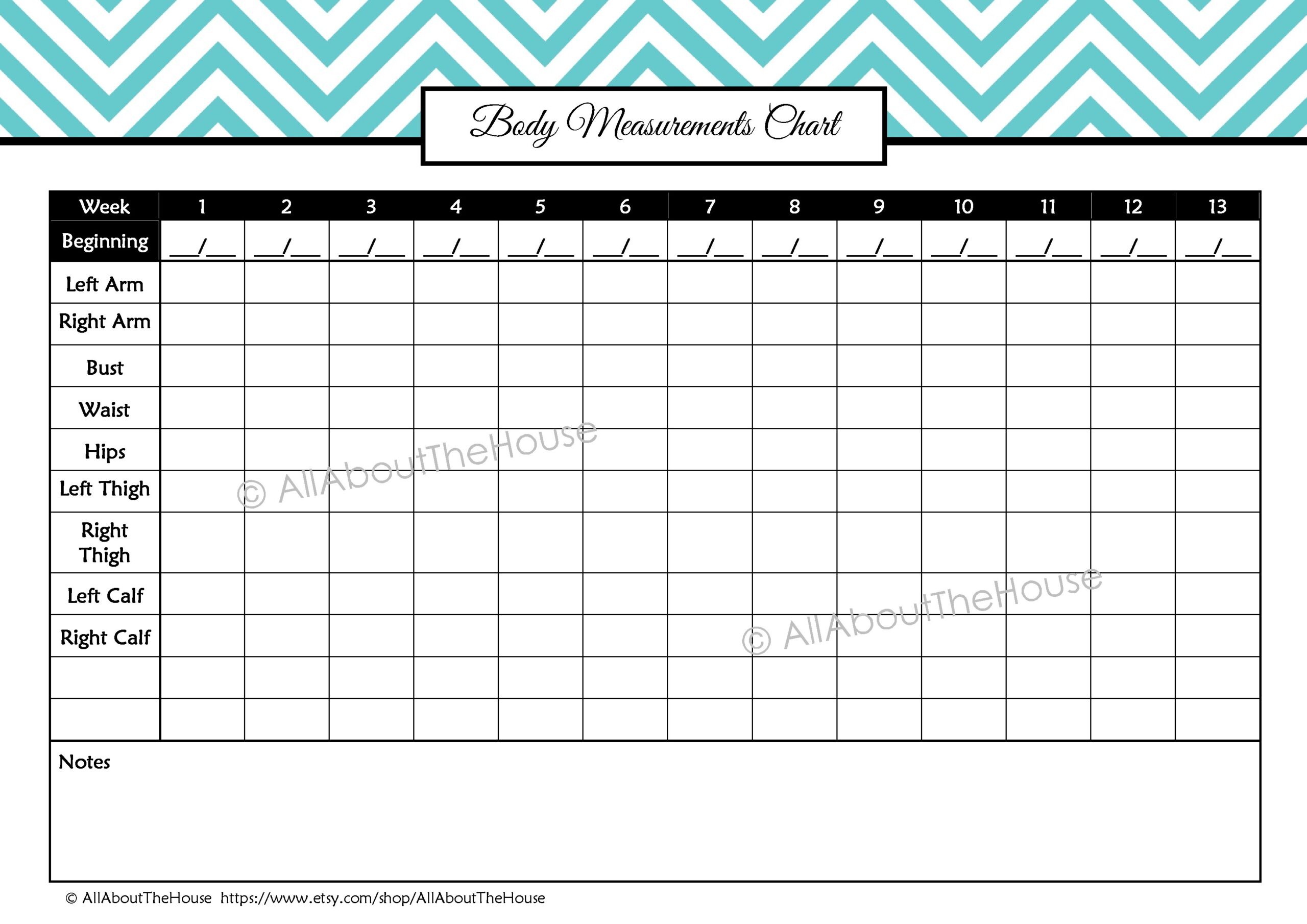 Free Printable Body Measurement Worksheets