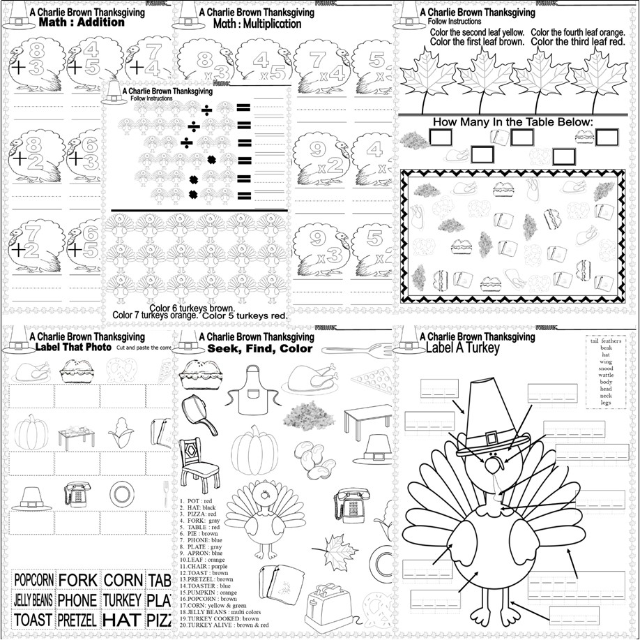 Charlie Brown Thanksgiving Comprehension Book Companion Reading 