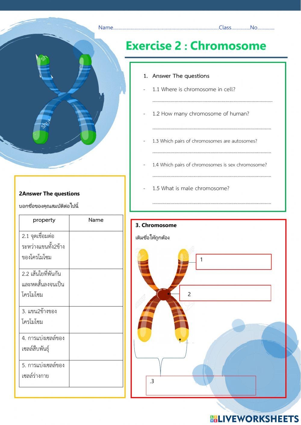 Chromosome Exercise Live Worksheets Worksheets Library Chromosome Exercise Live Worksheets Worksheets Library