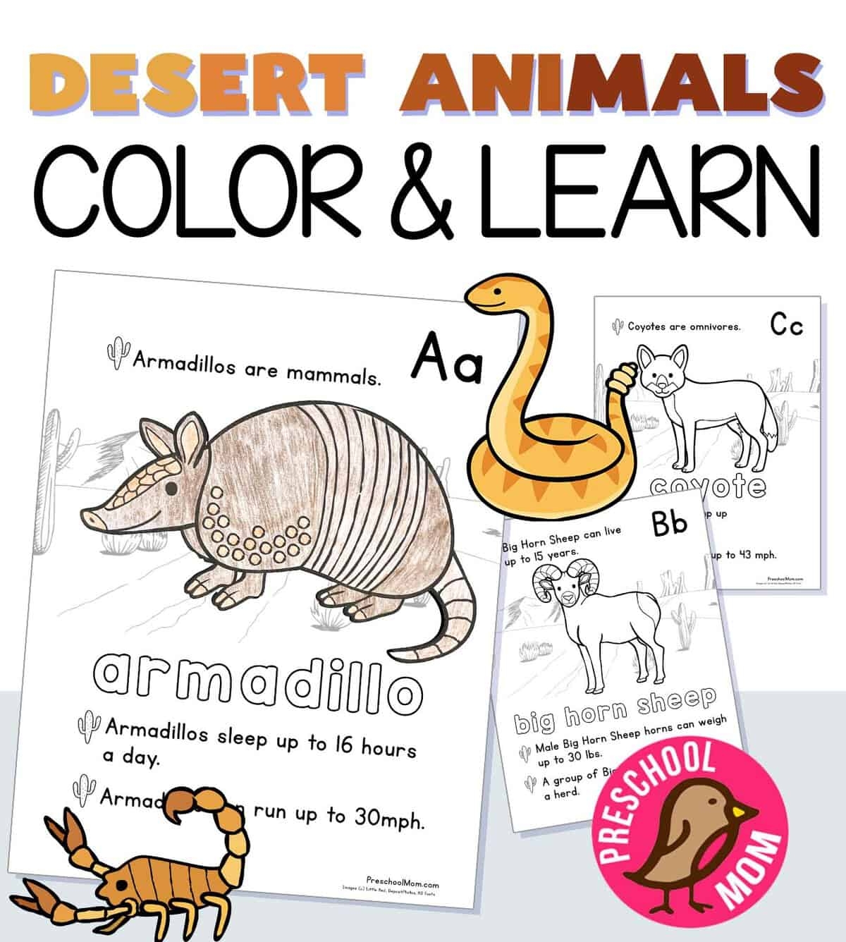 Desert Animal Coloring Pages Preschool Mom