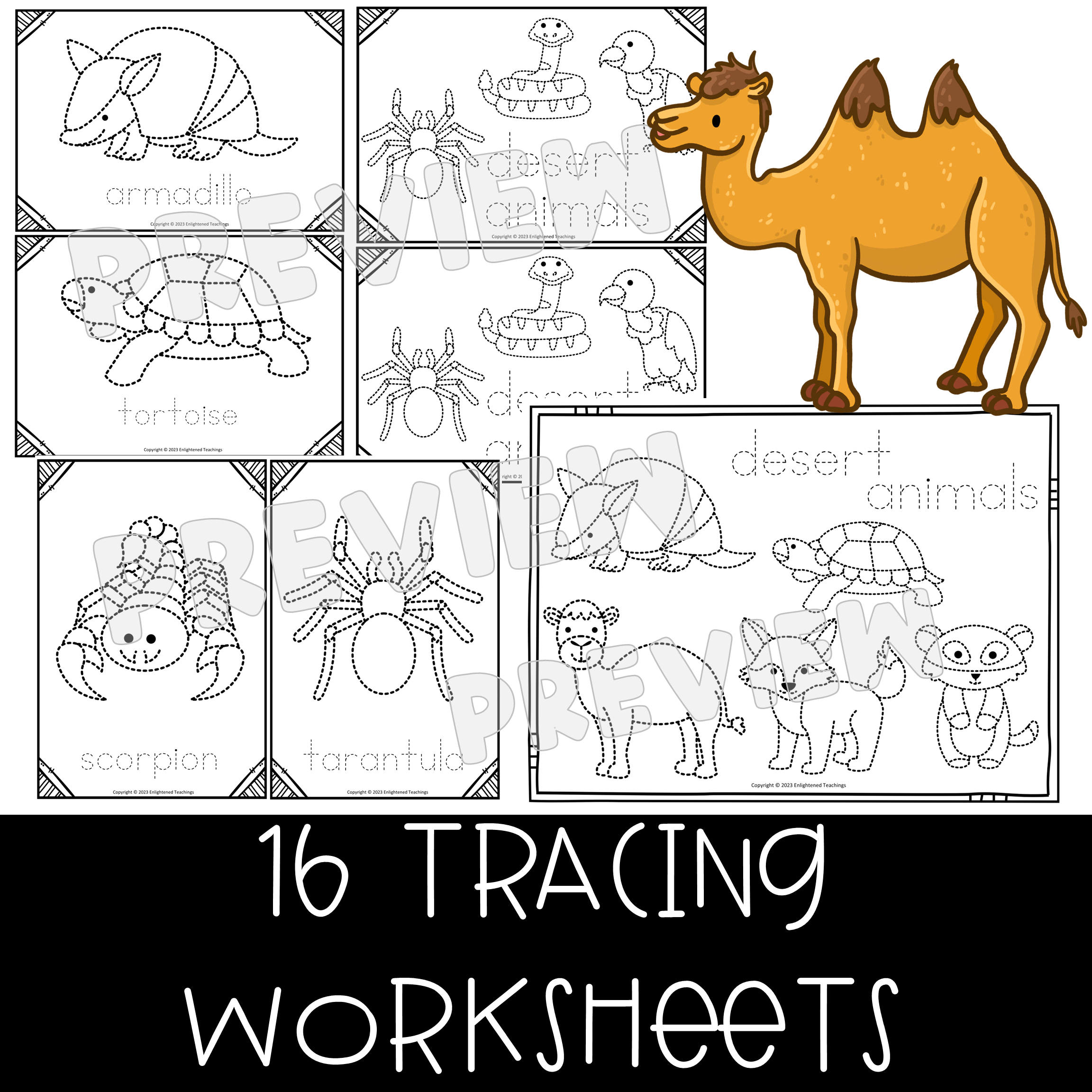 Free Printable Desert Worksheets