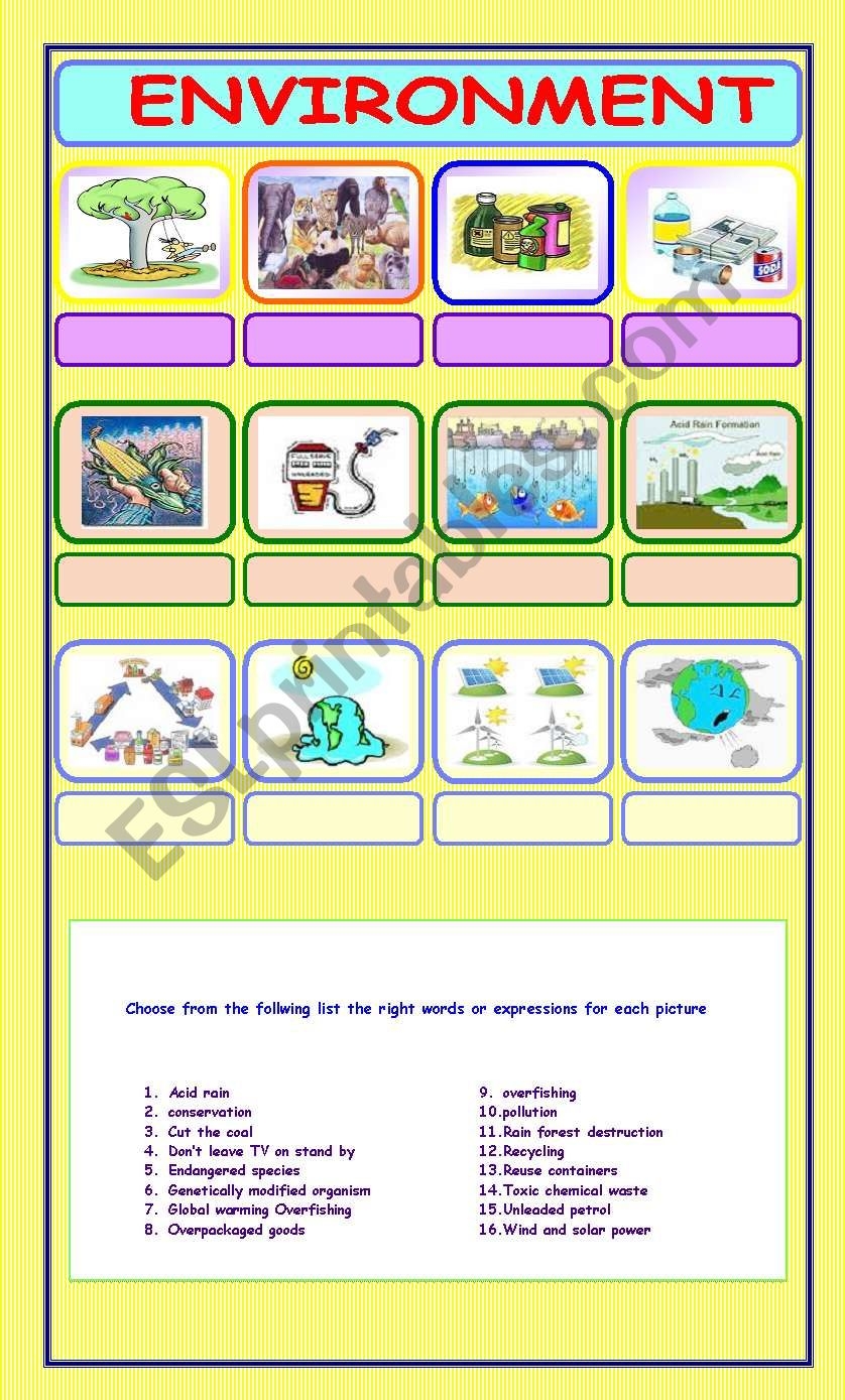 Environment ESL Worksheet By Patties