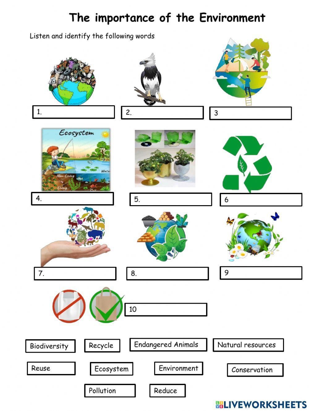 Environment Interactive Exercise For 5 Live Worksheets Worksheets Library