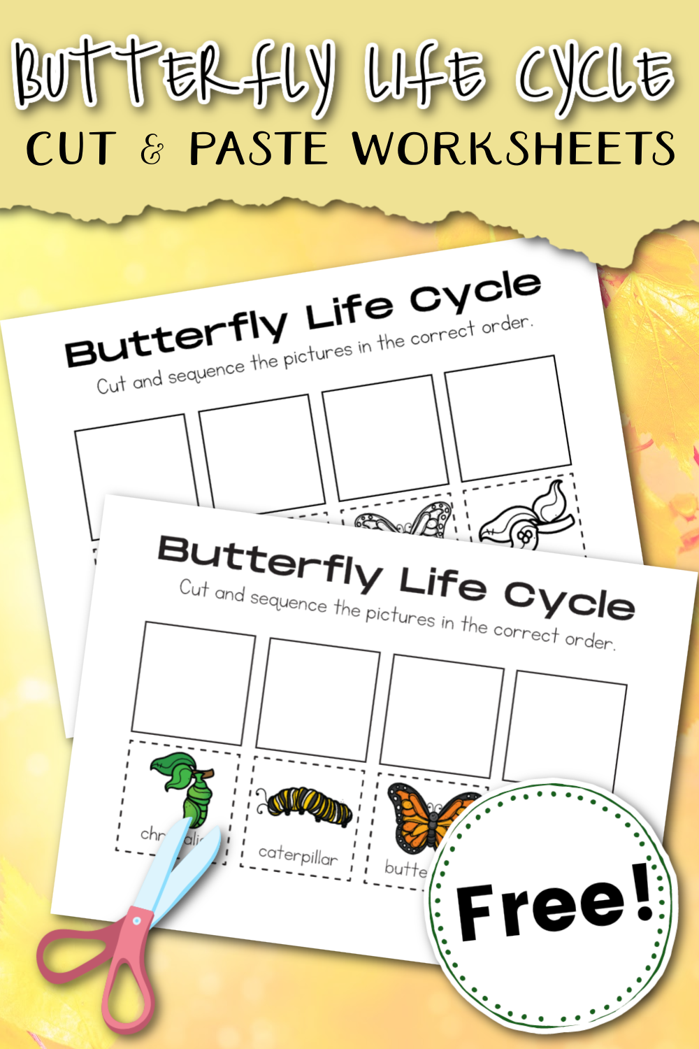 Free Printable Metamorphosis Worksheets Free Printable Metamorphosis Worksheets