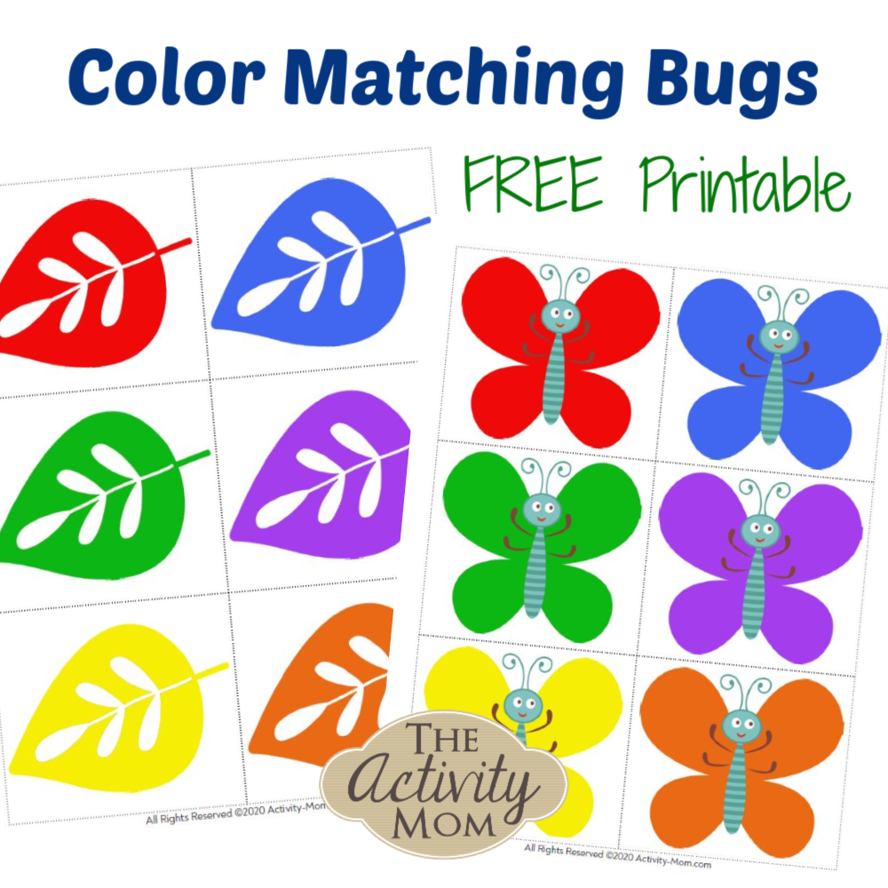 Free Printable Bug Worksheets