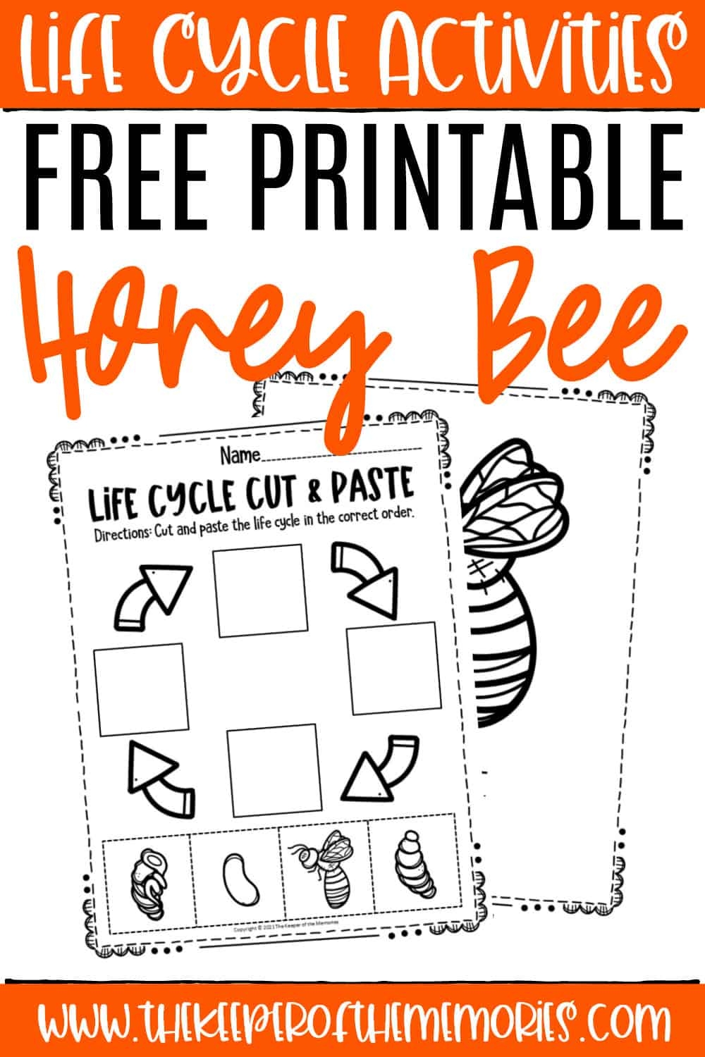 Free Printable Bee Life Cycle Worksheets The Keeper Of The Memories Free Printable Bee Life Cycle Worksheets The Keeper Of The Memories
