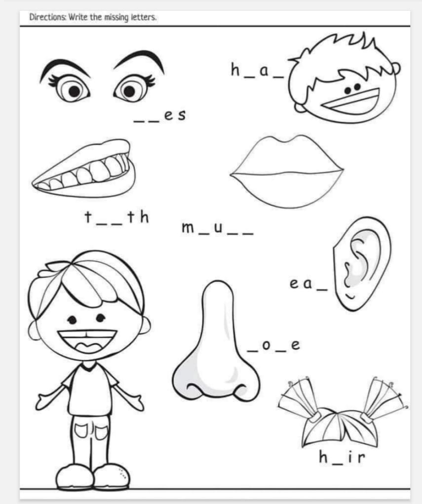 Free Printable Worksheets Preschool Body Parts