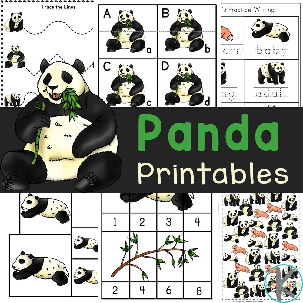 Free Printable Panda Worksheets w Life Cycle And Coloring Pages Free Printable Panda Worksheets w Life Cycle And Coloring Pages