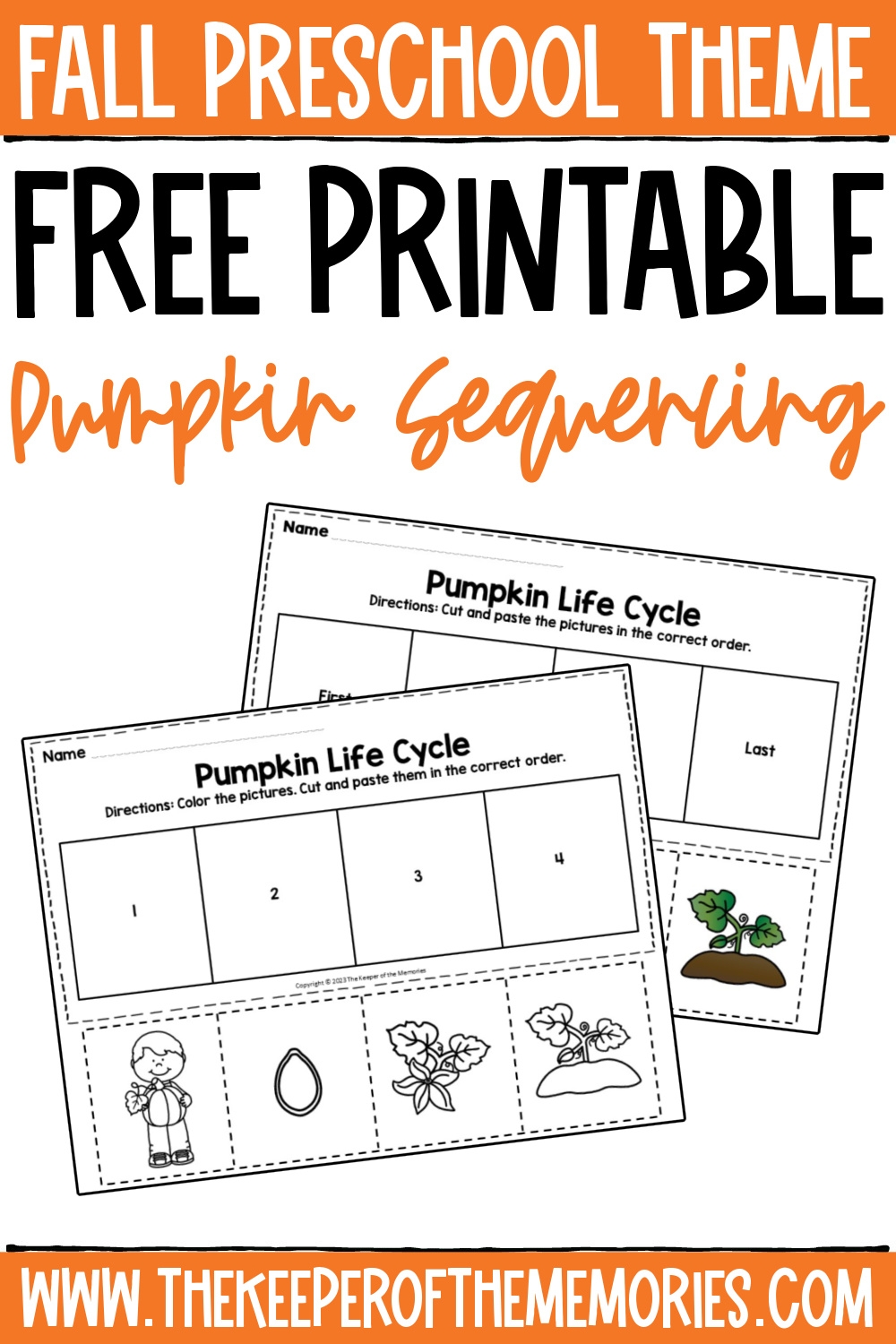 Free Printable Pumpkin Life Cycle Worksheet