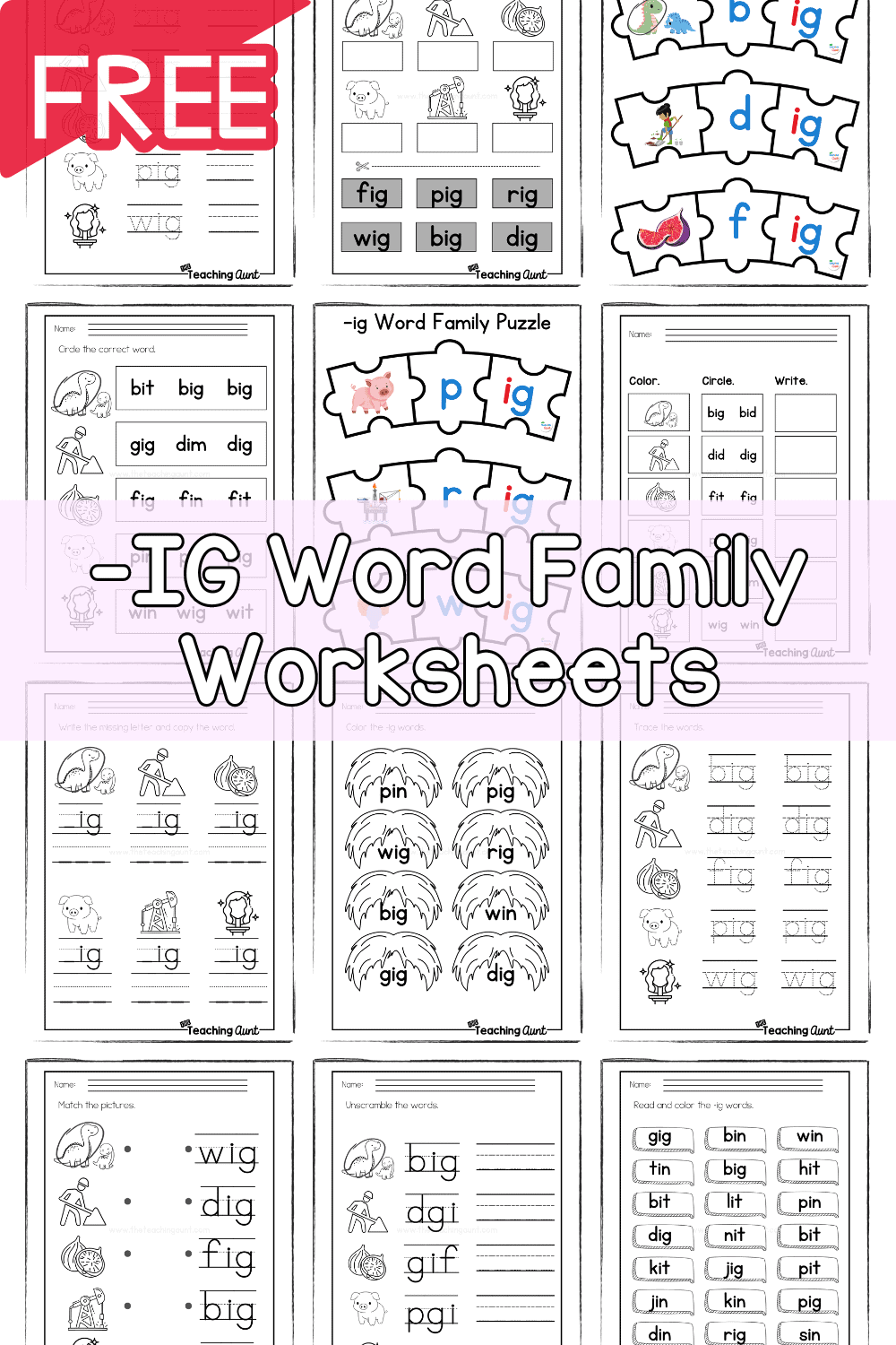 IG Word Family Worksheets The Teaching Aunt
