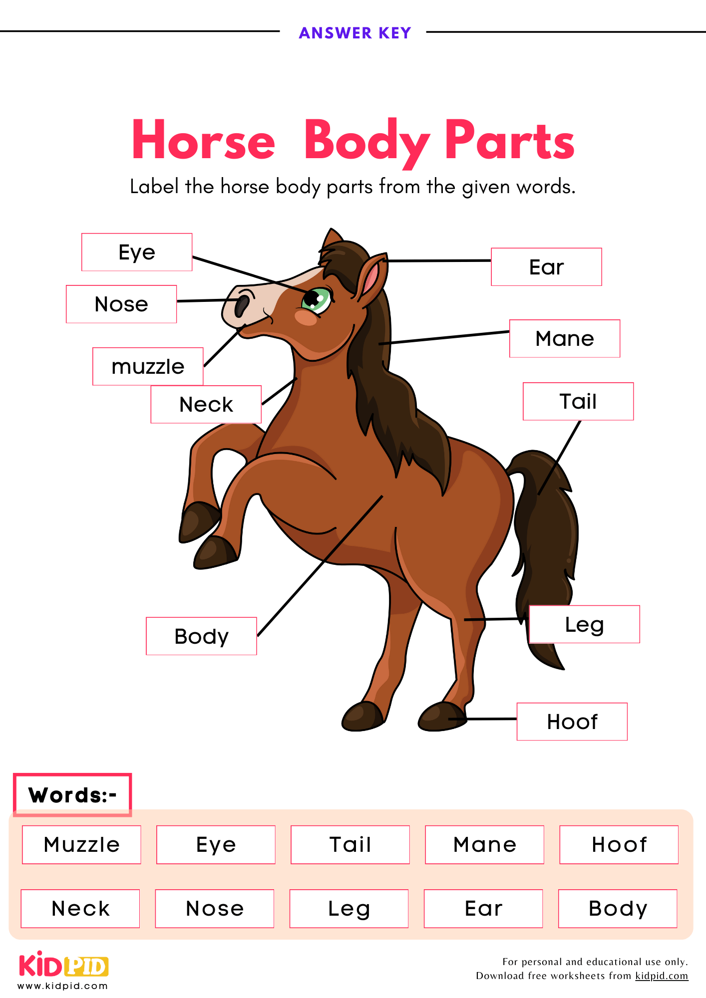 Label The Horse Body Parts Worksheet Kidpid