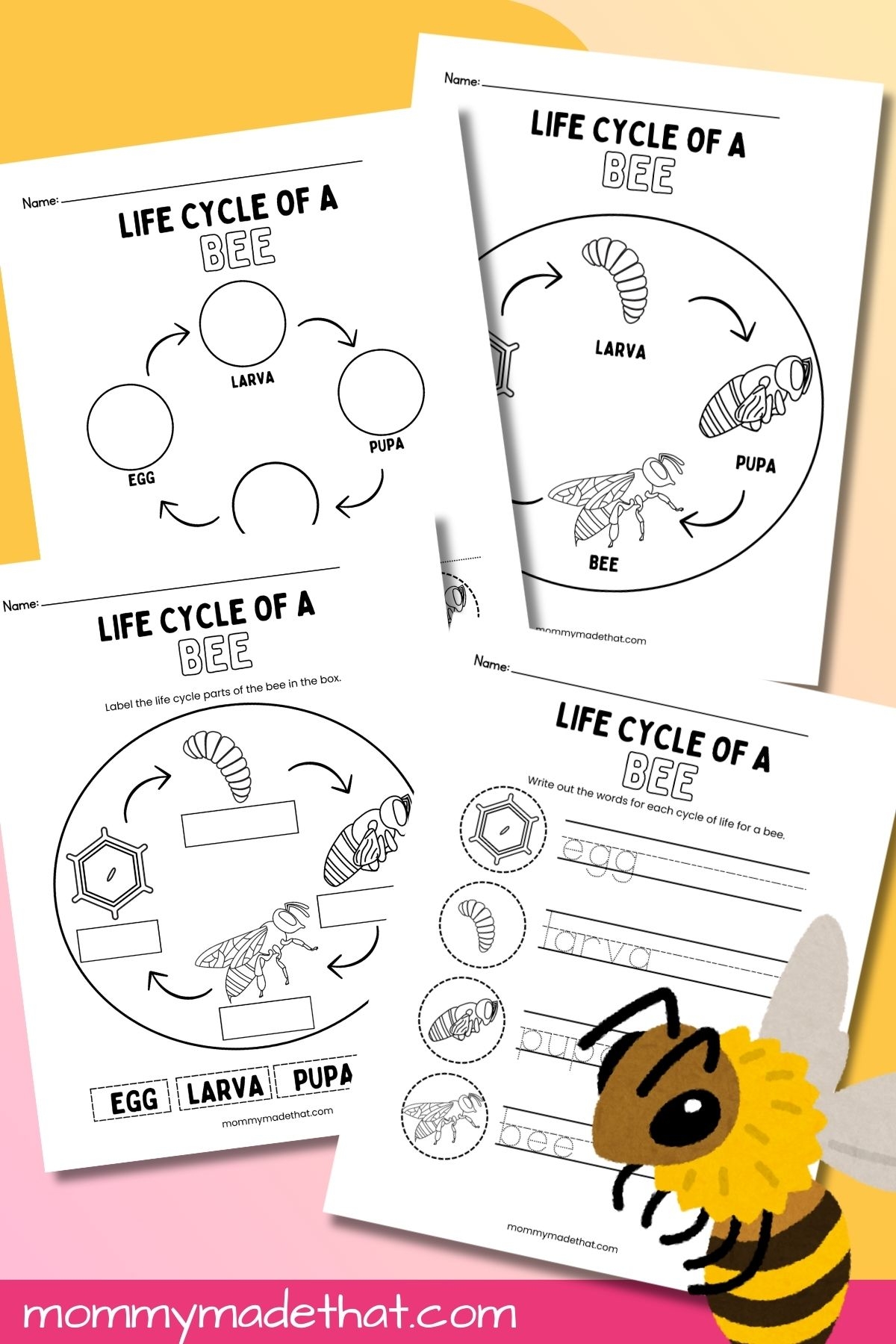 Life Cycle Of A Bee Worksheets Free Printables Life Cycle Of A Bee Worksheets Free Printables